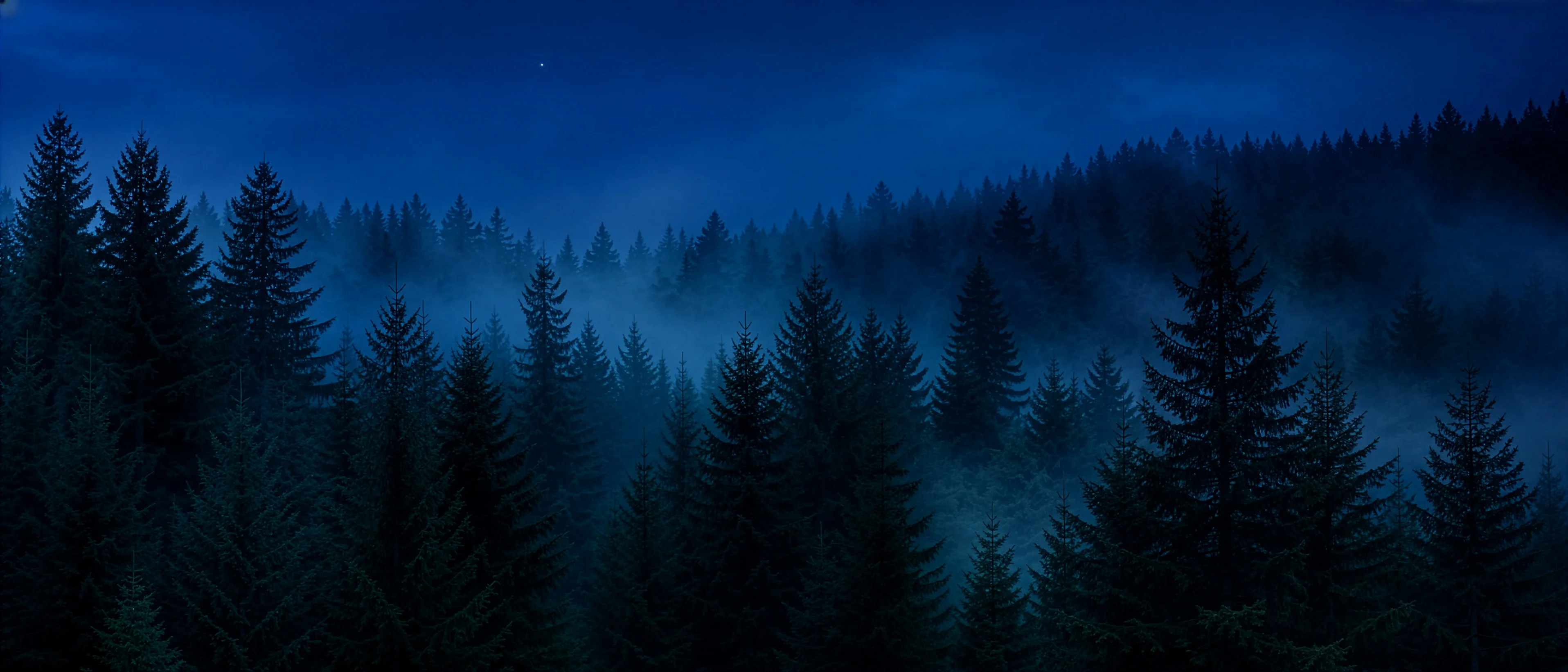 Schweizer Bergwald in der Blue Hour